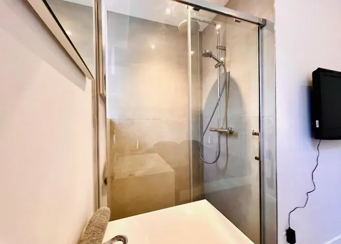 Apartamento Bel Ecrin T2 35m2 Gare/centre