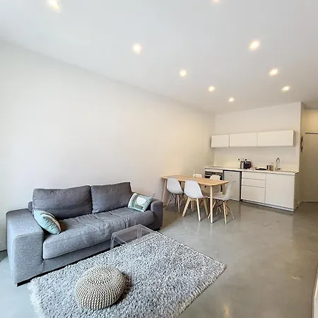 Appartement Bel Ecrin T2 35m2 Gare/centre Grenoble